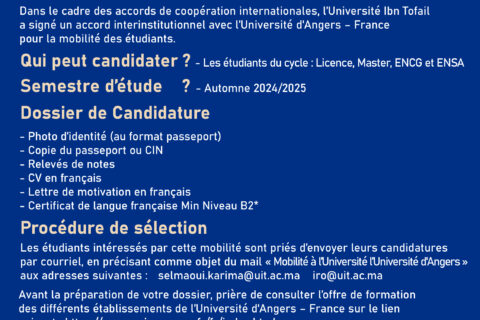 CONDID2_Plan-de-travail-1-copie