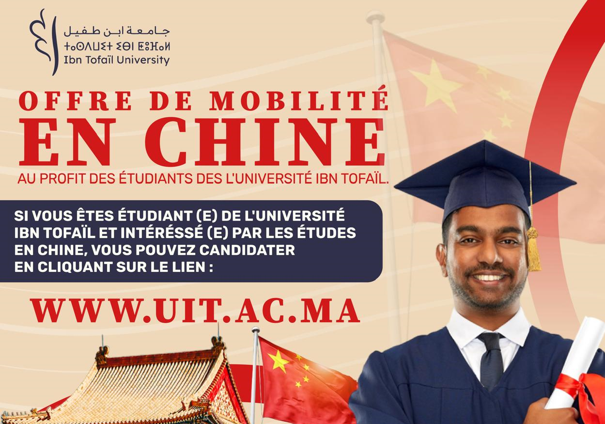 candidate-mobilite -1