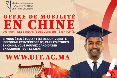 candidate-mobilite-2