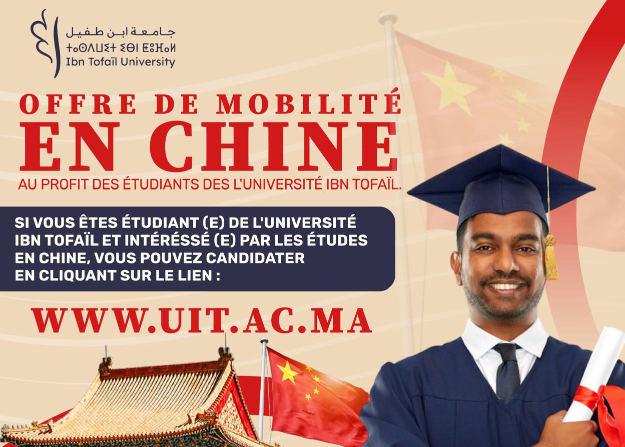 candidate-mobilite-2