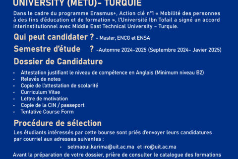 APPEL-TURQUIE_Plan-de-travail-1-copie