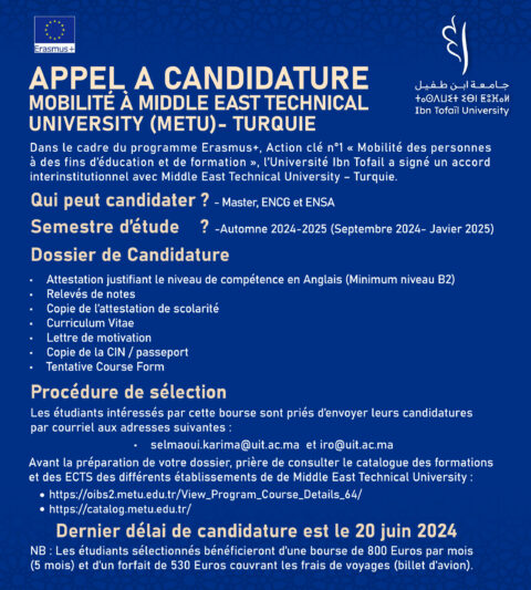 APPEL-TURQUIE_Plan-de-travail-1-copie