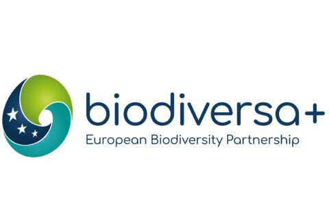BiodiversaLogoConcept-v4