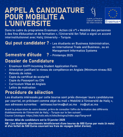 appel a condid [Récupéré]_Plan de travail 1