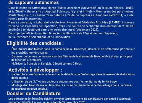 appel a condid BOURSE DOCT_Plan de travail 1 copie 2