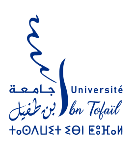 LOGO UIT TRANSSP-08