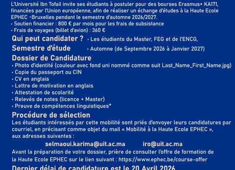 WhatsApp Image 2026-04-01 at 12.31.24