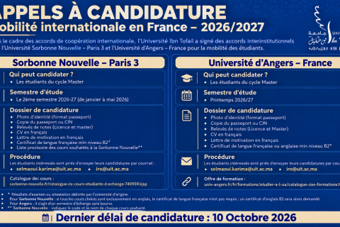 Appels à Candidature – Mobilité Internationale en France 2026-2027---