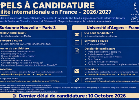 Appels à Candidature – Mobilité Internationale en France 2026-2027---