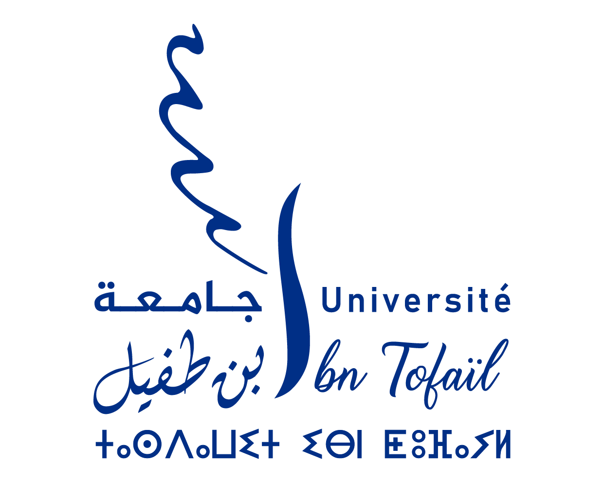 Université ibn tofail