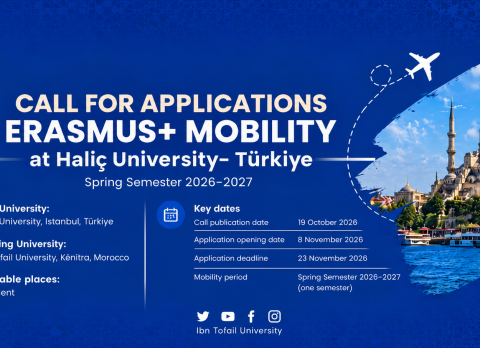 Affiche Erasmus+ Mobilité à Istanbul