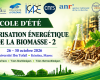 École d’été _ valorisation énergétique de la biomasse(1)