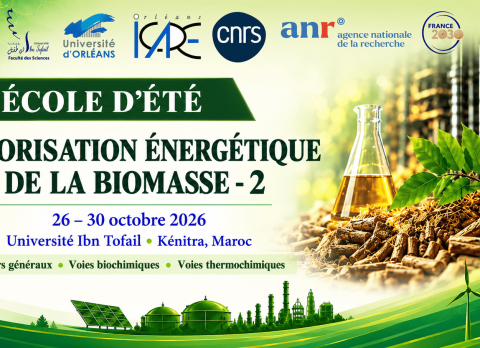 École d’été _ valorisation énergétique de la biomasse(1)
