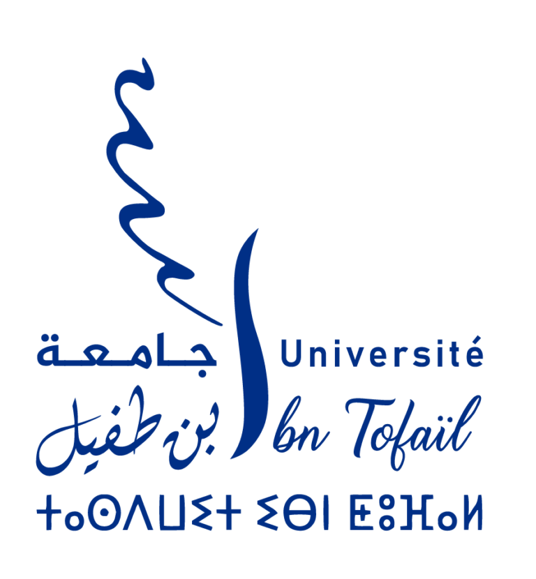 Université ibn tofail